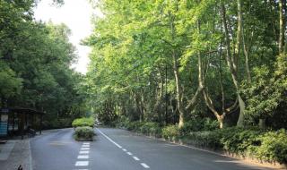 春雪的说说发朋友圈 春雪的说说发朋友圈